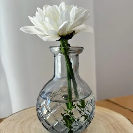 Skalny Stol Centrum * Karpacz