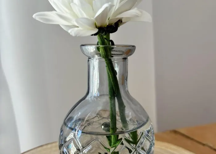 Skalny Stol Centrum * Karpacz